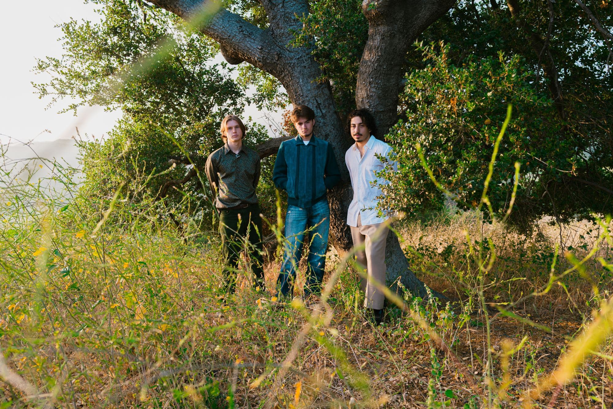 Fauna band photo